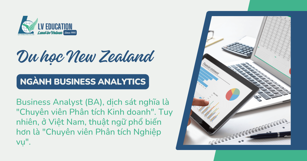 Du học New Zealand ngành Business Analytics