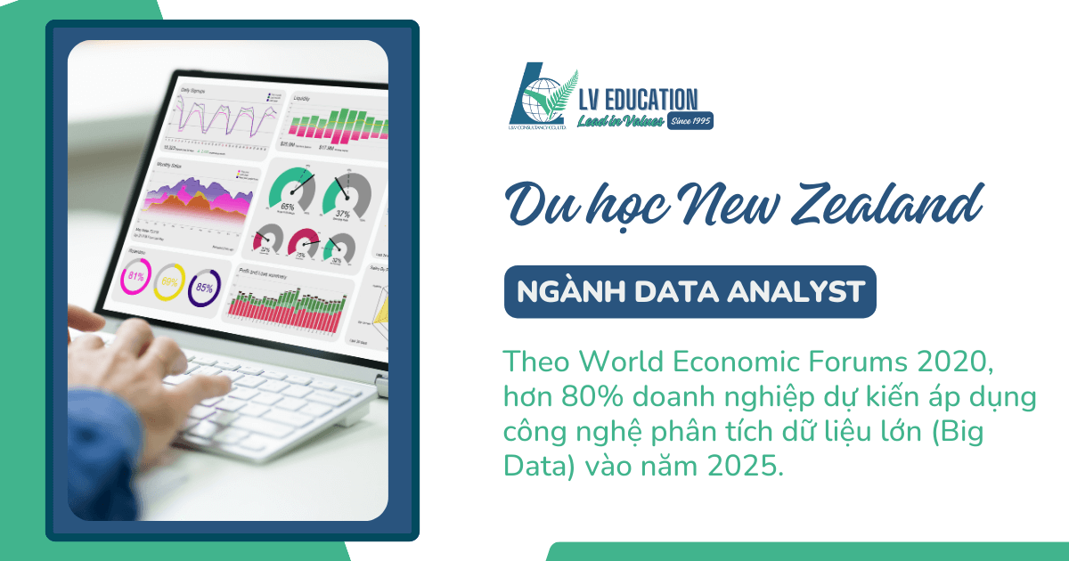 Du học New Zealand ngành Data Analyst