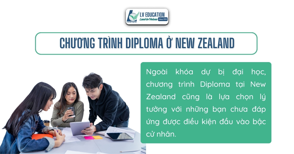 Chương trình Diploma ở New Zealand – Tấm vé “vàng” vào năm 2 đại học