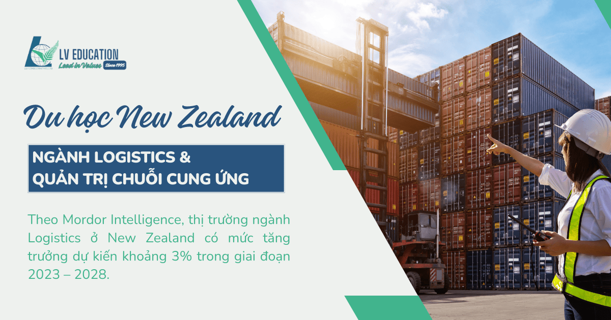 Du học New Zealand ngành Logistics & Quản lý chuỗi cung ứng