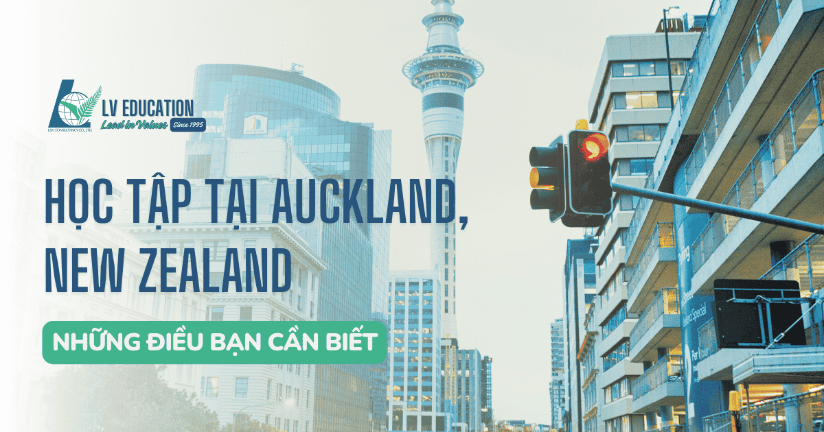 Học tập tại Auckland – Những điều bạn cần biết