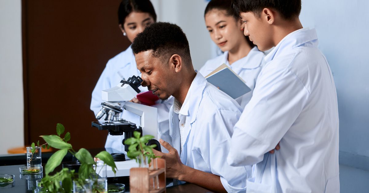 Học Khoa học môi trường tại New Zealand